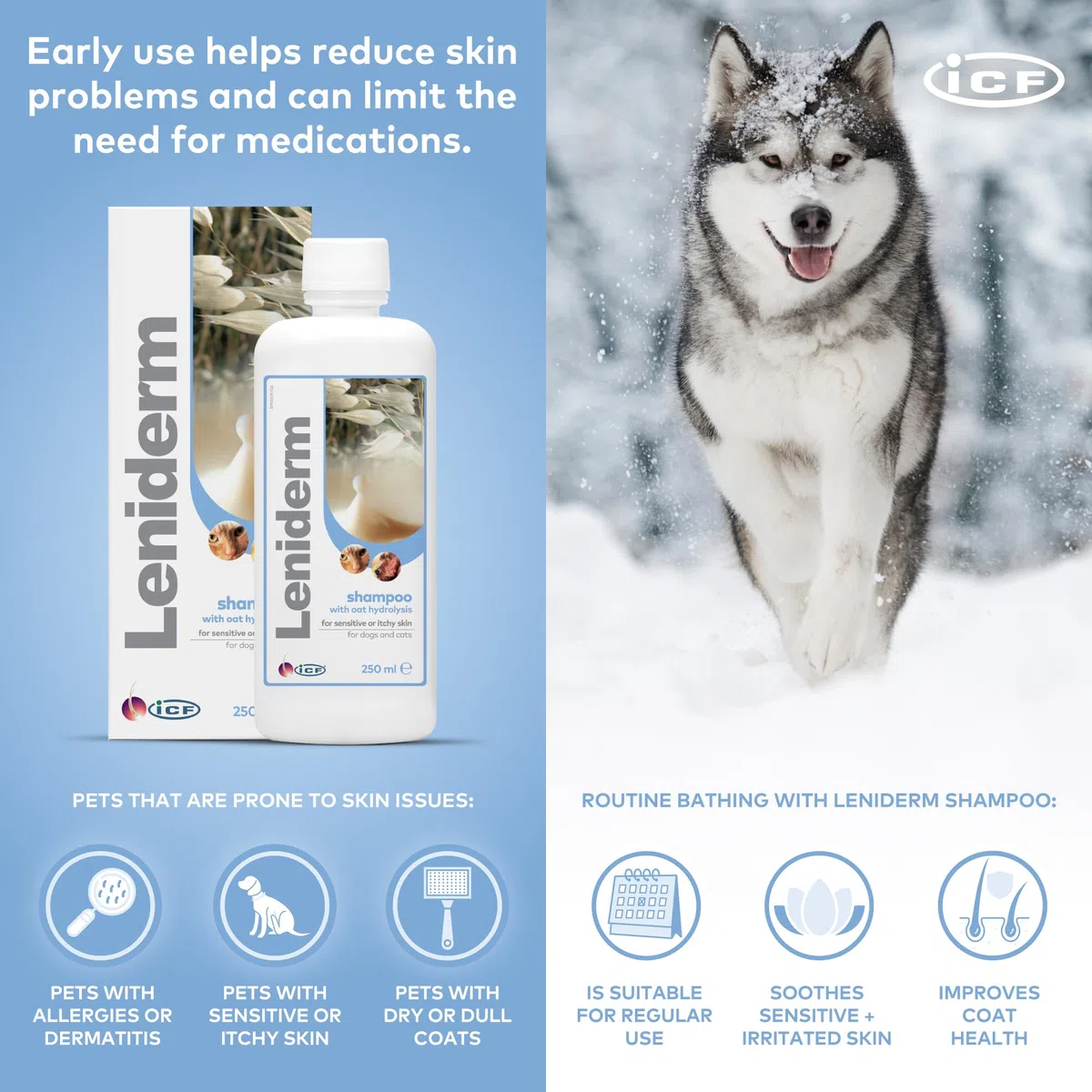 ICF | Leniderm | Shampoo per cani e gatti con infuso di avena | Cura lenitiva per la pelle pruriginosa o sensibile | Arricchito con avena idrolizzata, olio di cartamo, betaina, lanolina | 250 ml