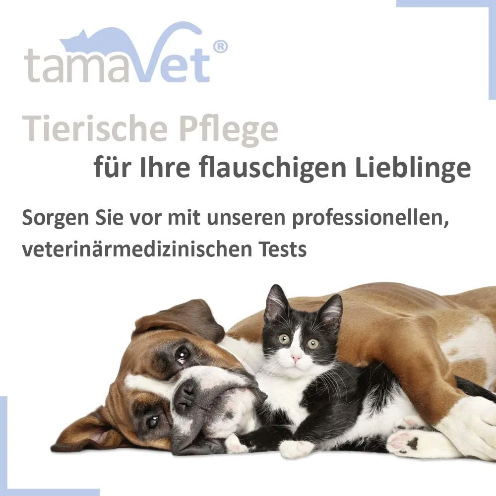 2X Test rapido Giardia Cane e Gatto – Rilevazione dell'antigene di Giardia nelle feci – Risultato rapido in Caso di diarrea e parassiti intestinali