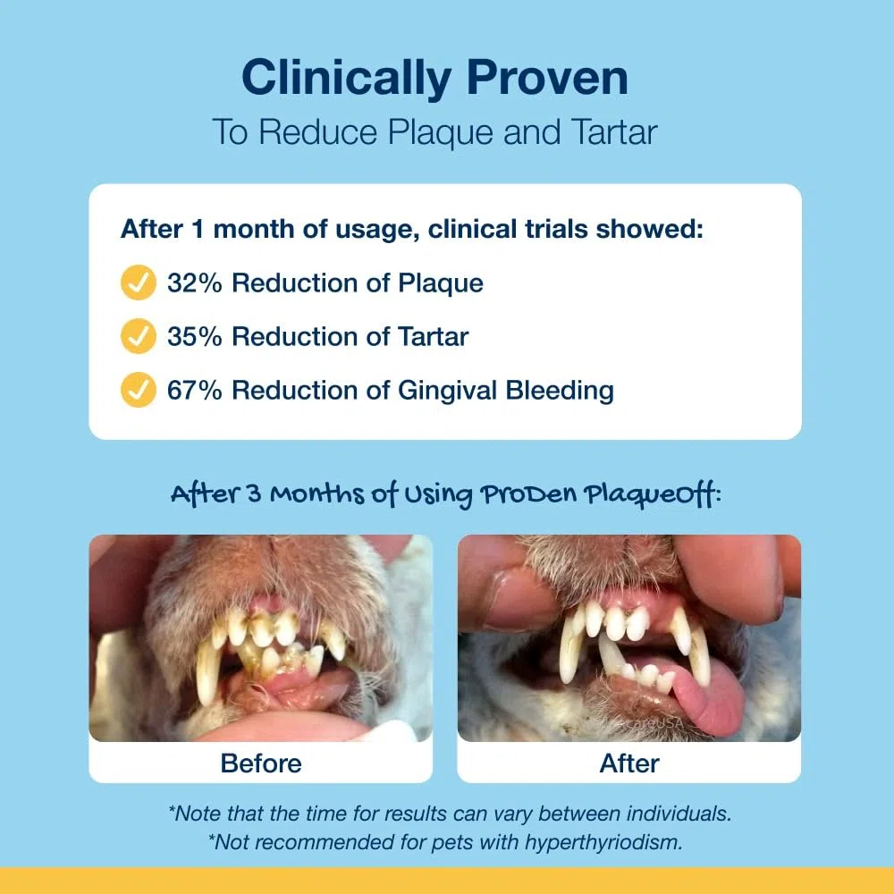 ProDen PlaqueOff Rimuovi Tartaro e Alito Cattivo 100% Naturale per Cani – Polvere Dentale da 60g con 13 Ossetti Vegetali – Confezione per Denti Sani e Alito Fresco