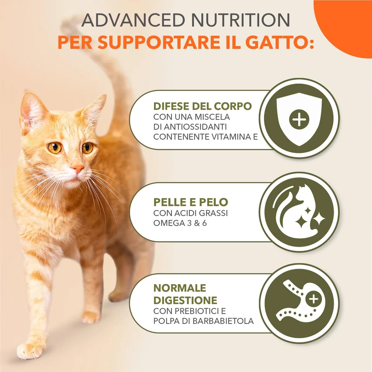 IAMS Cibo per gatti senza cereali con pollo - Alimenti secco per gatti adulti da 1 anno, 2,5 kg