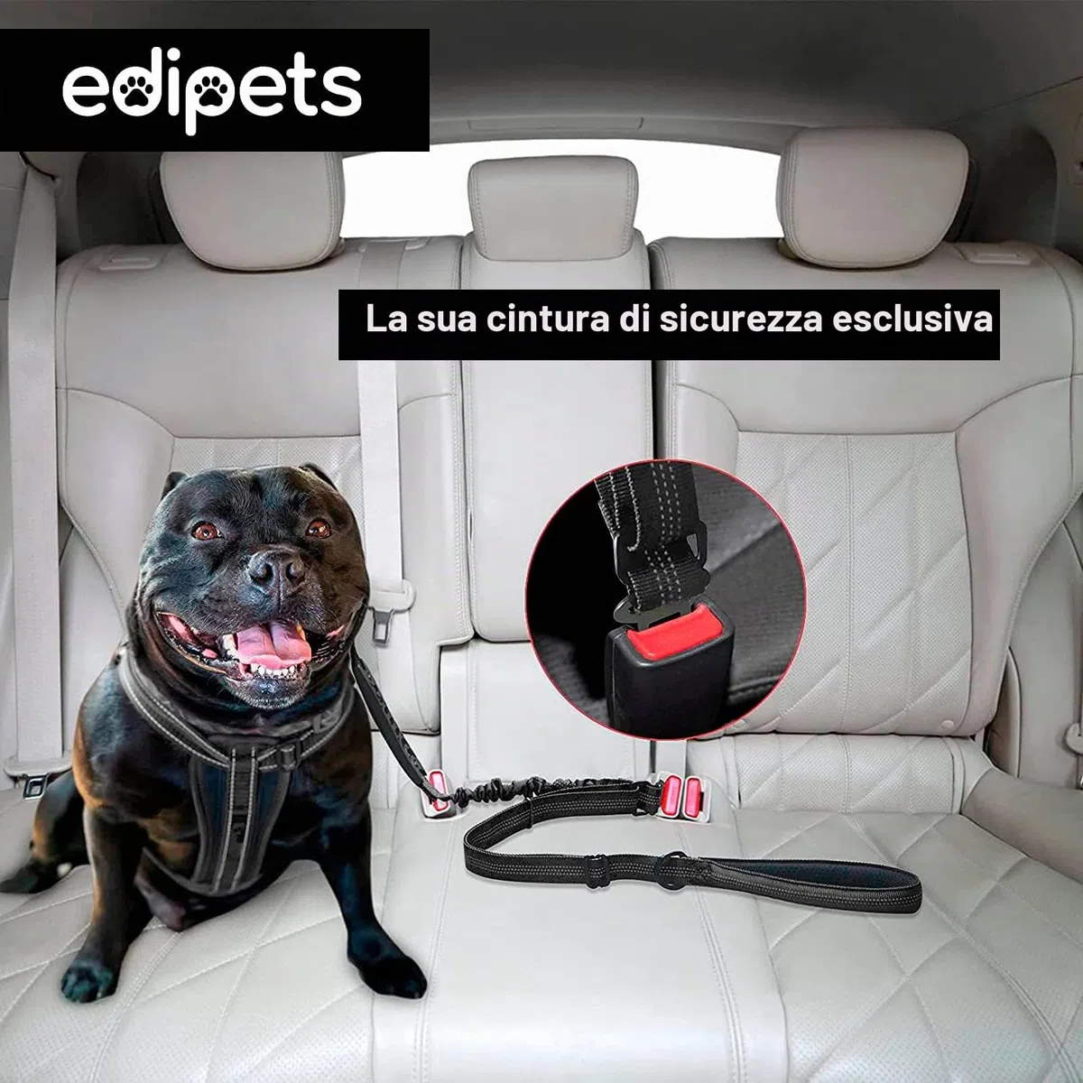 Edipets, Cintura Sicurezza Cani Auto, Guinzaglio Anti Tiro per Cane, 1M / 1.4M, Riflettente, Maniglia Imbottita, per Cani di Taglia piccola/media/grande (Nero)