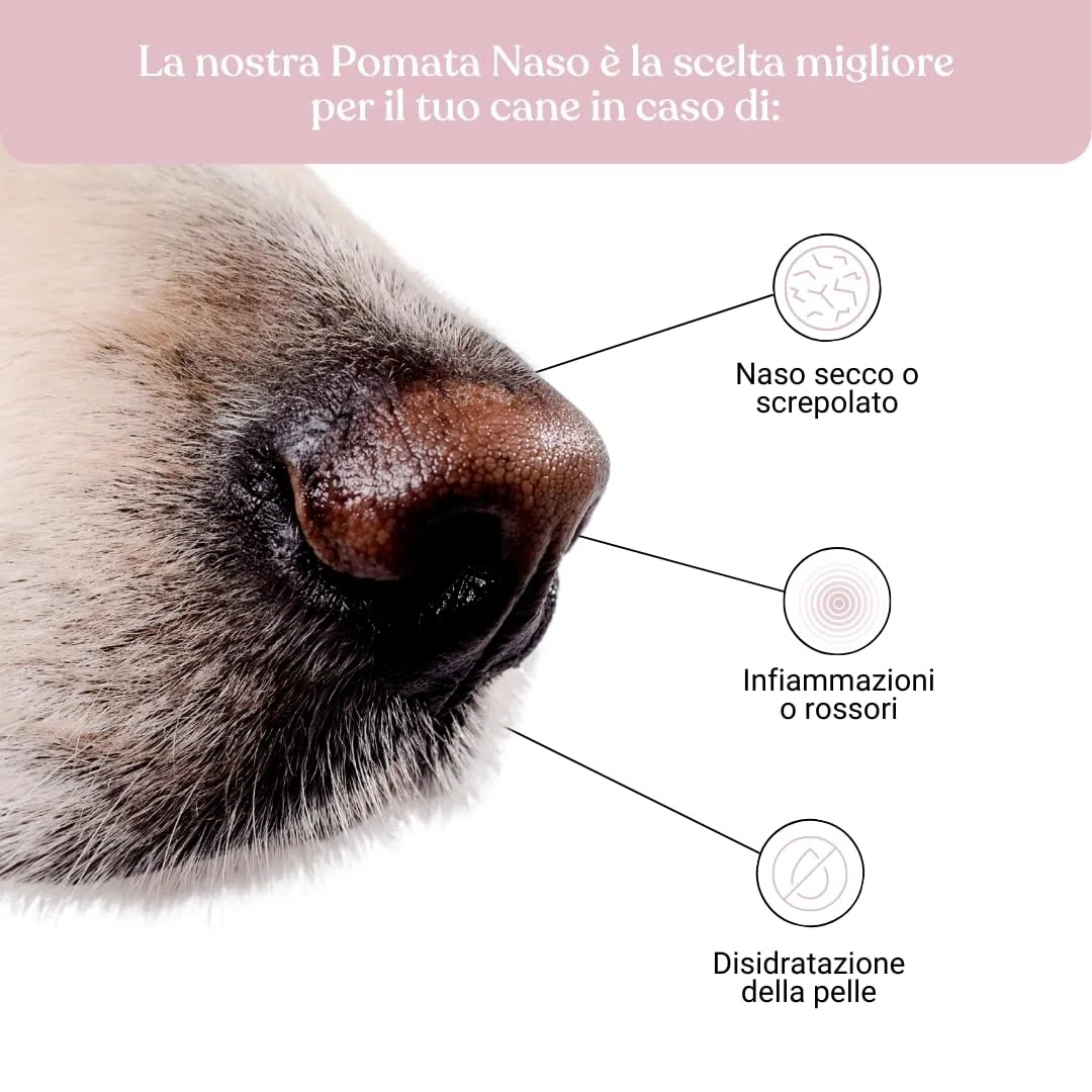 Bau Pomata Naso Cane Naturale – Balsamo per Tartufo Secco e Screpolato con Burro di Karité, Olio di Canapa Bio e Vitamina E – Trattamento Idratante e Protettivo per Uso Quotidiano