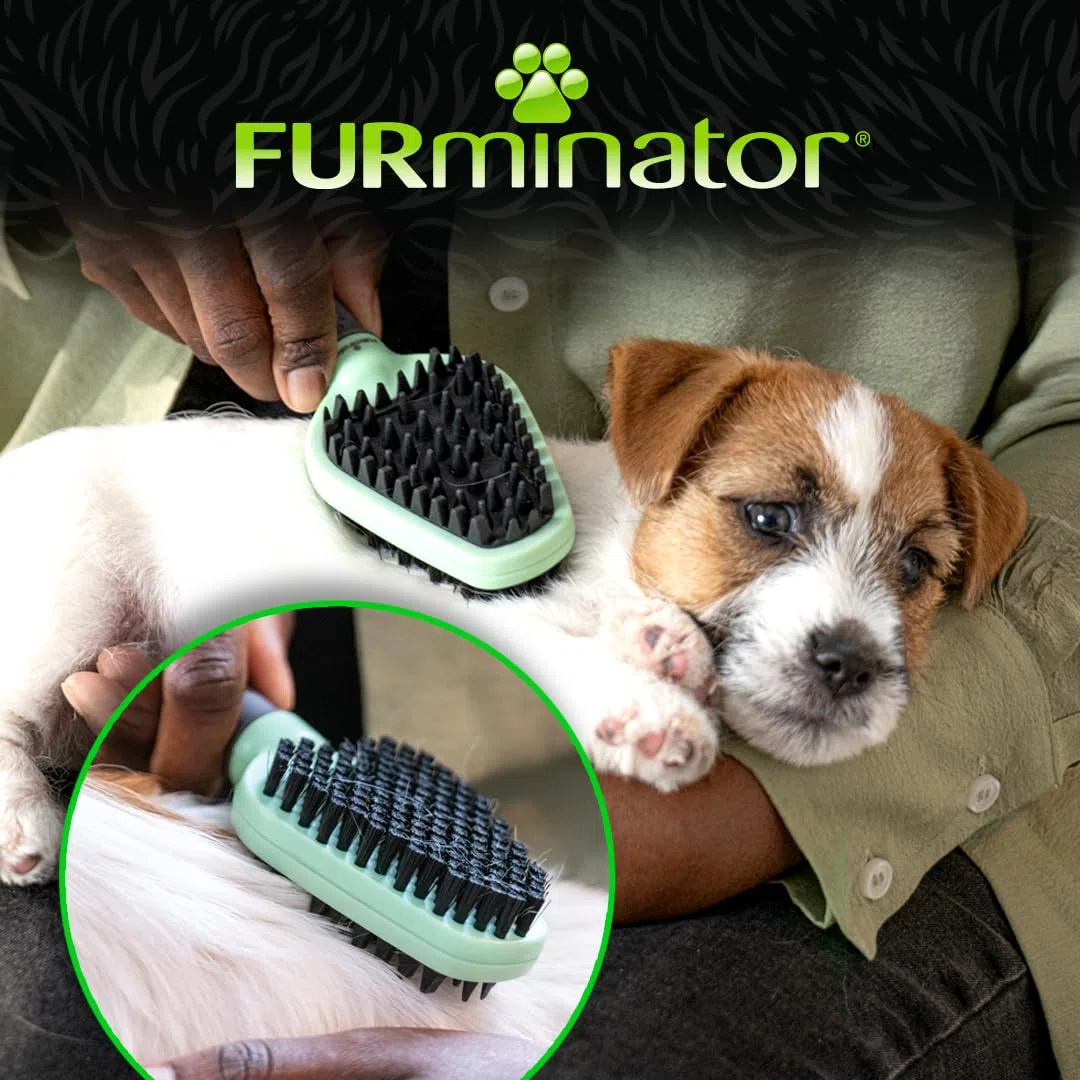 FURminator 2in1 Spazzola Morbida per Cani e Gatti - Ideale per Animali sensibili - Pulisce Delicatamente Il Pelo e massaggia la Pelle - Doppia Spazzola per Una toelettatura Delicata