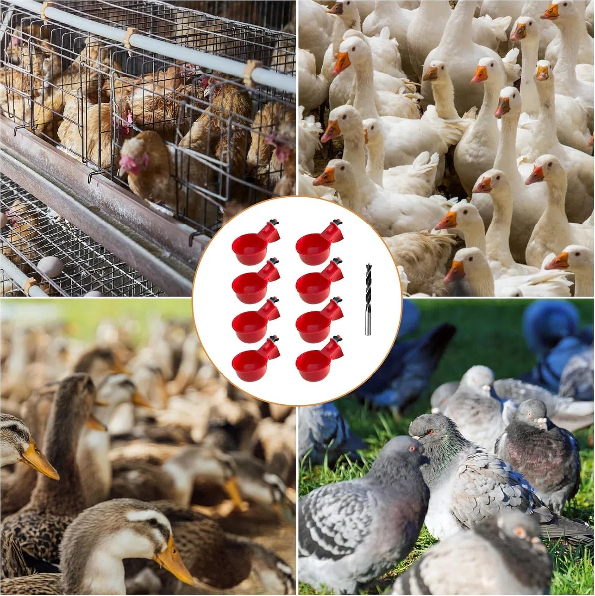 10 Pezzi Bevitori Automatici Pollo Ciotole in Plastica Automatico Pollo Bevitore Tazze Abbeveratoio per Galline con Trapano Abbeveratoio Galline DIY Kit per Uccelli, Piccioni, Polli, Anatre
