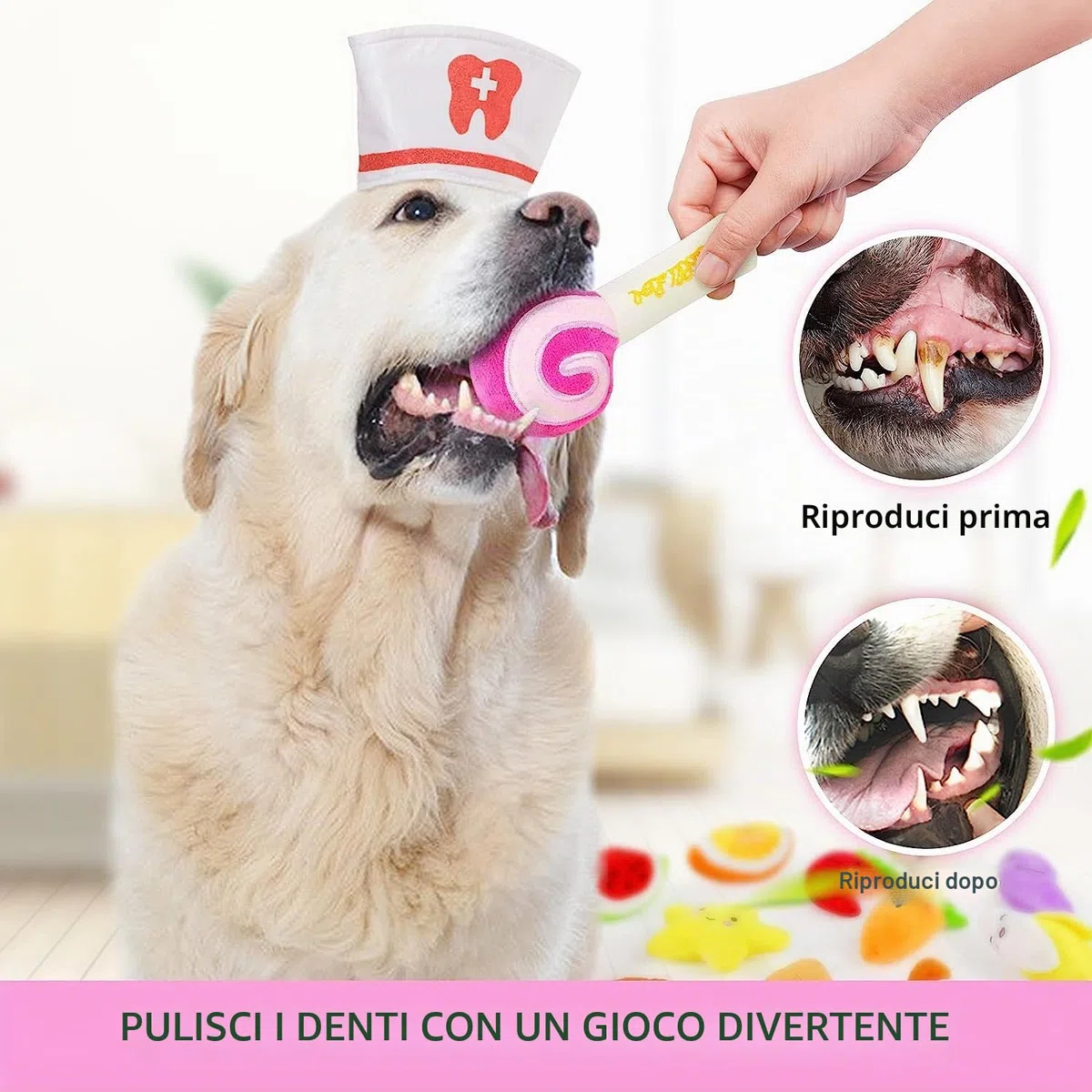 LEGEND SANDY Confezione da 14 giocattoli per cani che scricchiolano simpatici peluche ripieni di frutta snack e verdura giocattoli per cani per cuccioli di piccola taglia e media