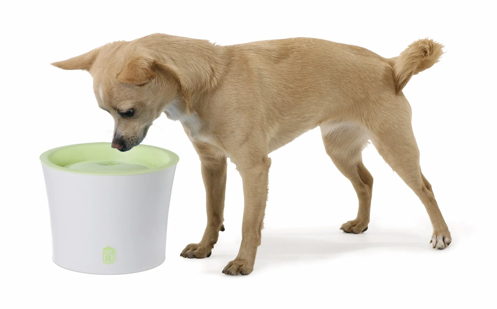 55600 CATIT ABBEVERATOIO 3L