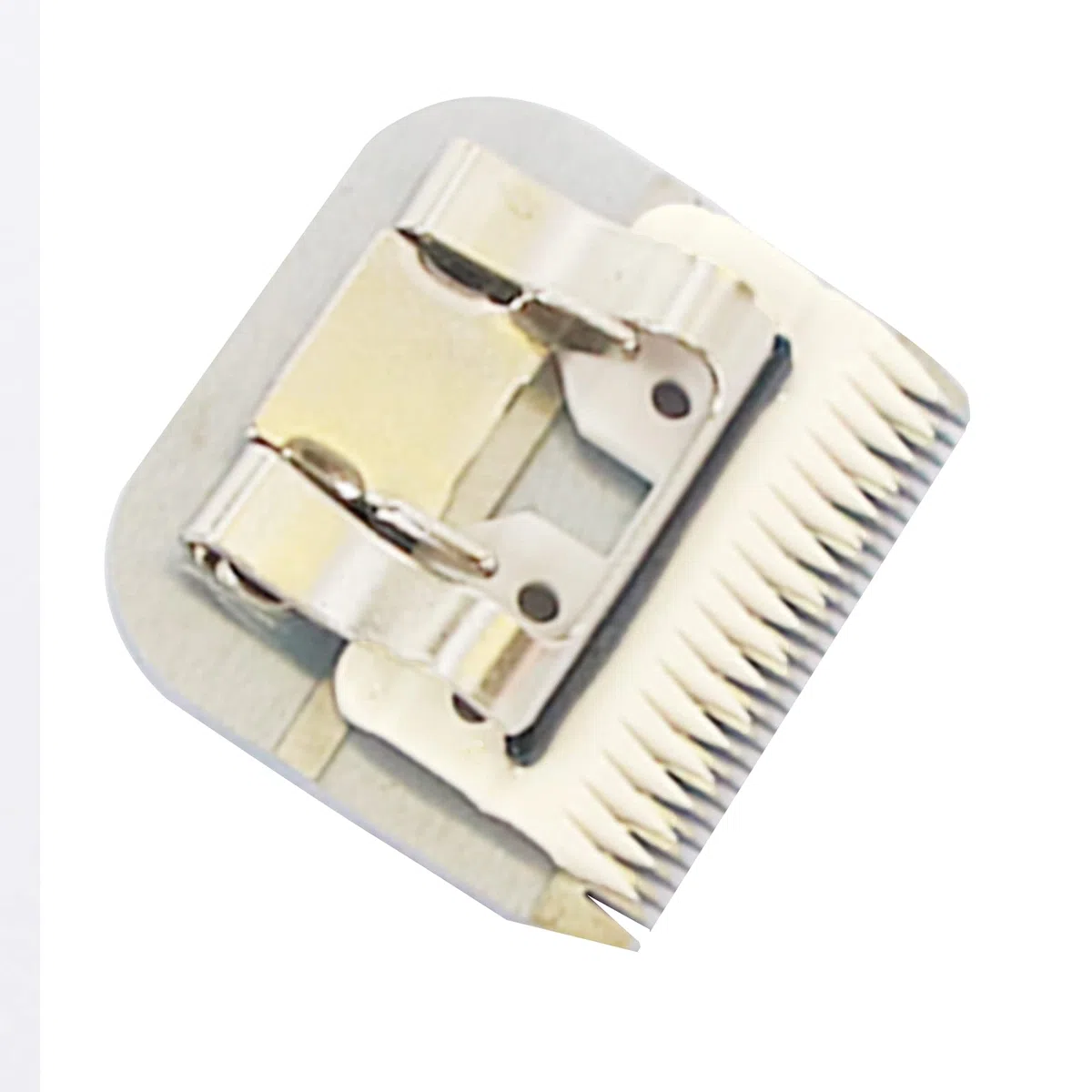 10 pz/lotto 18 Denti Bordo In Ceramica Acciaio Rivestito In Carbonio Pet Clipper Lama Cane Grooming Accessori Elettrici per Andis Wahl