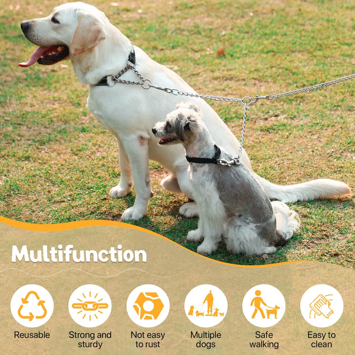 HAPPY HACHI Guinzaglio Doppio per 2 Cani Resistente Acciaio Catena Nessun Groviglio per Due Cane Grandi Medio Passeggiata Formazione(M 3.5mm*60cm)