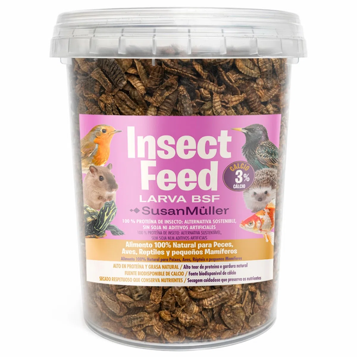 Larva di mosca soldato nera disidratate - Proteina naturale per rettili, pollame e pesci, alta densità nutrizionale, senza additivi, confezione riciclabile - Barattolo 150 g