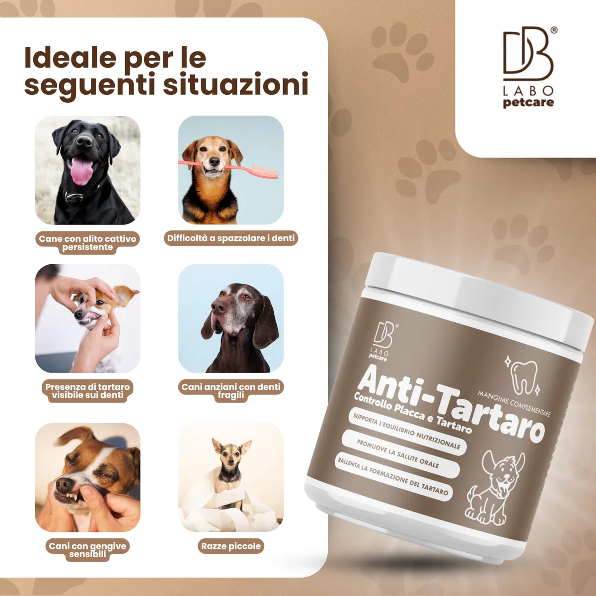 DBLabo Antitartaro per Cani 200g, Polvere Denti Cane con Alga Ascophyllum, Propoli e Menta, Controllo Placca, Sciogli Tartaro Cane in Polvere, Integratore Denti e Gengive con Alito Fresco