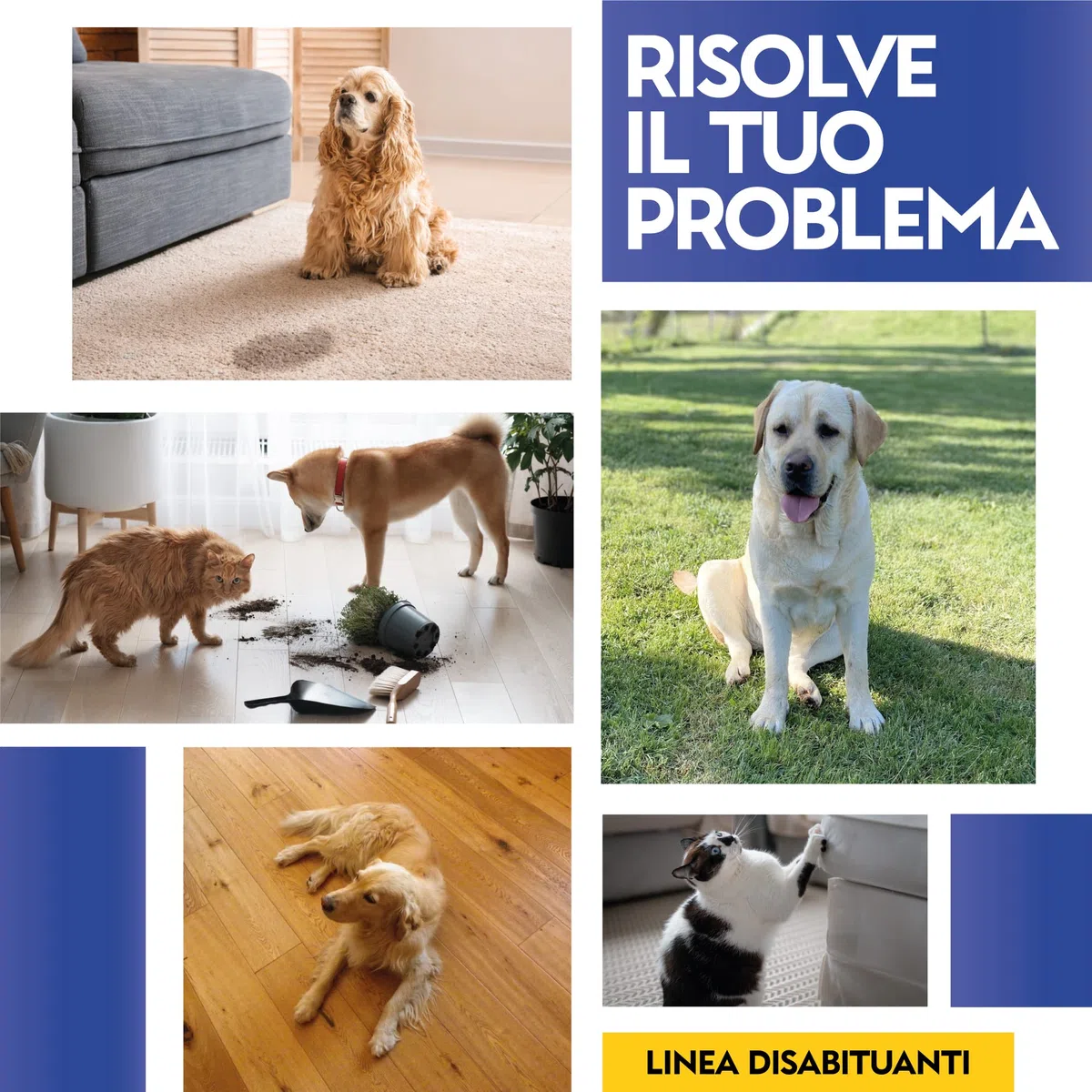 Albagarden - Disabituante Gatti E Per Cani - Repellente E Barriera Olfattiva Naturale Contro Le Cattive Abitudini Pipì - Scaccia Animali Domestici Senza Veleno Ed Ultrasuoni - Granulare X 1 Litro