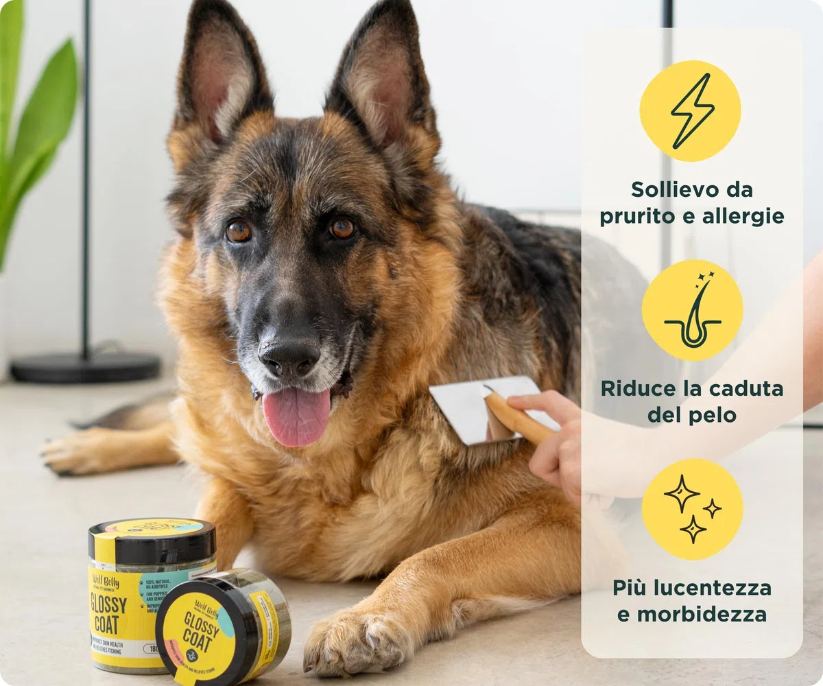Wolf Belly - Probiotici Dermatite Cane 100% Naturale (180 g) con Lievito di Birra, Spirulina e Alga Ascophyllum | Meno Prurito e Caduta | Pelo Forte e Brillante | Polvere - Prodotto in Europa