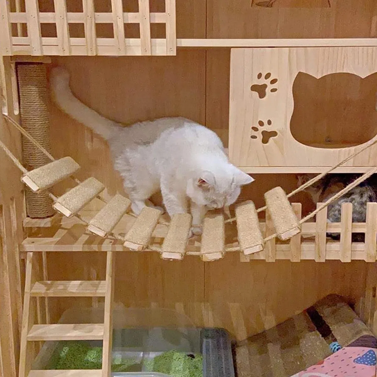 Telaio per arrampicata per gatti Outdoor Cat Tree Wall Climbing Bridge Scaletta per gatti Animali domestici Telaio per arrampicata da parete per gatti Mobili da parete Corda di canapa Scala da 50,8 cm