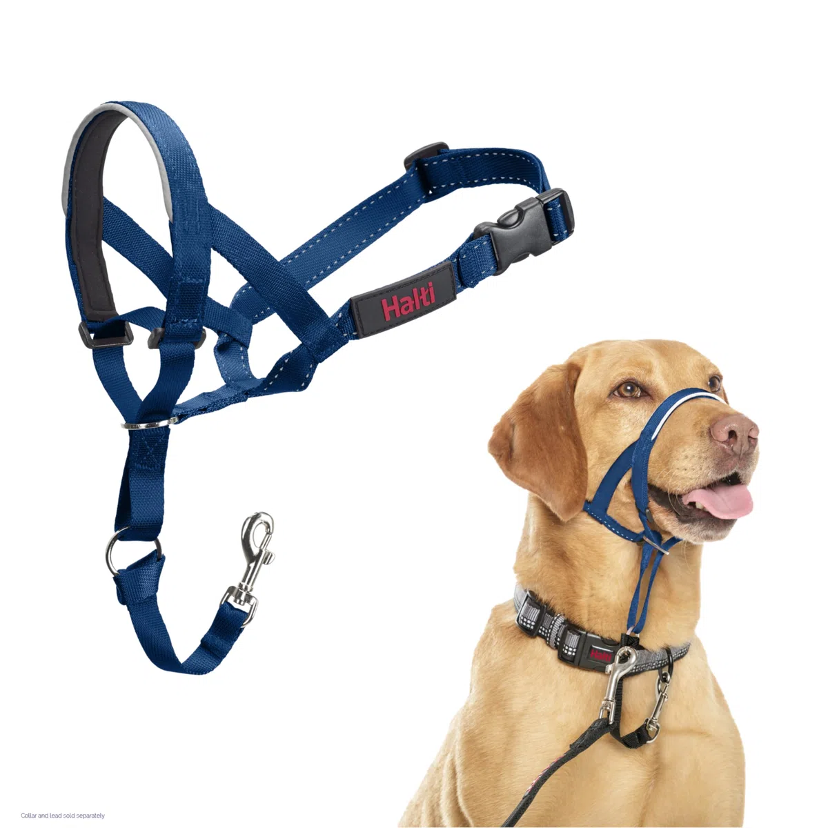 HALTI - Cavezza per impedire al cane di tirare al guinzaglio, regolabile, riflettente e leggera, con nasello imbottito, collare anti-tiro, per addestramento cani medi (Taglia 3, blu cobalto)