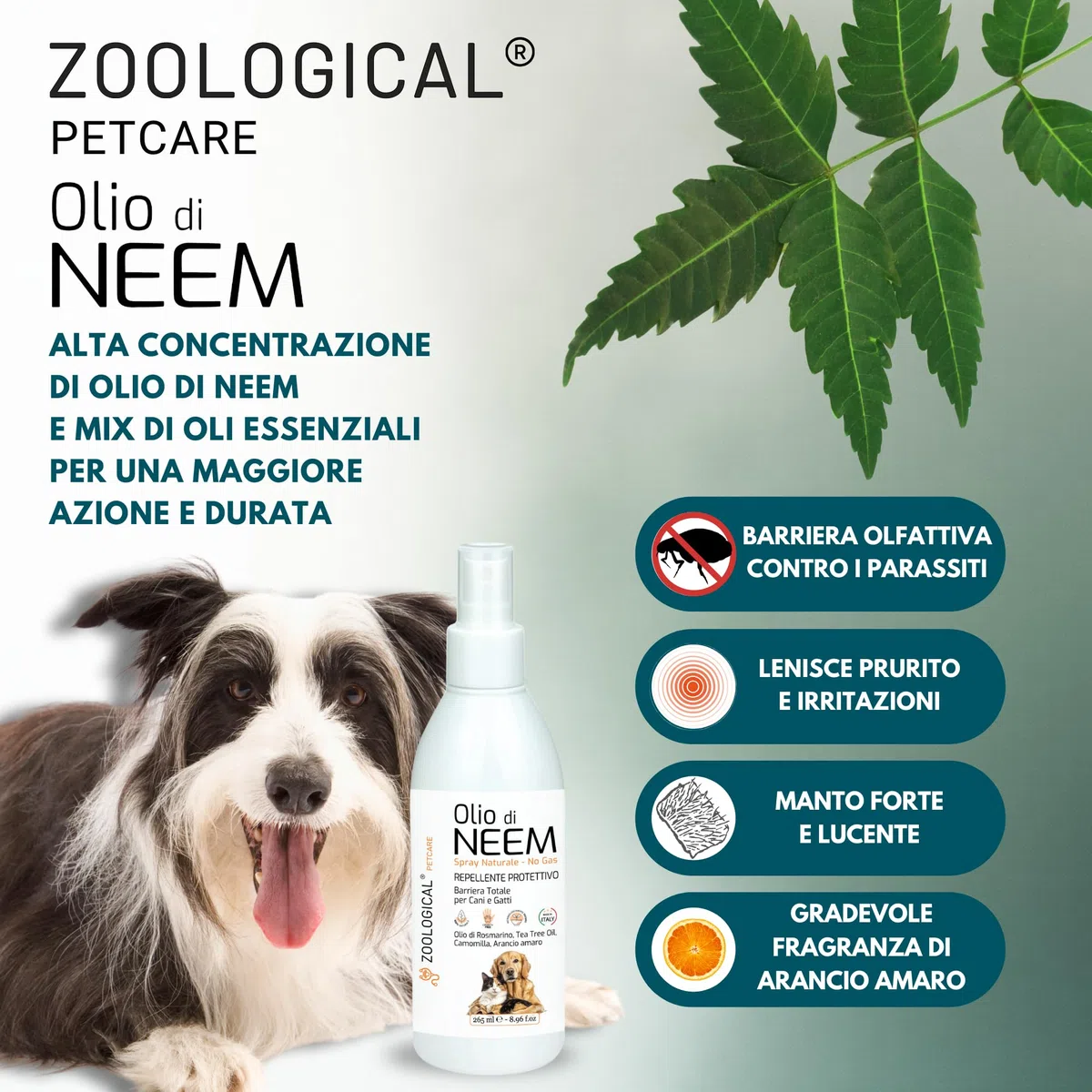 Olio di Neem per Cani e Gatti Spray 265ML - Protettivo Naturale, Antiparassitario, Repellente contro Parassiti, Zecche, Pulci, Zanzare e altri Insetti - Made in Italy