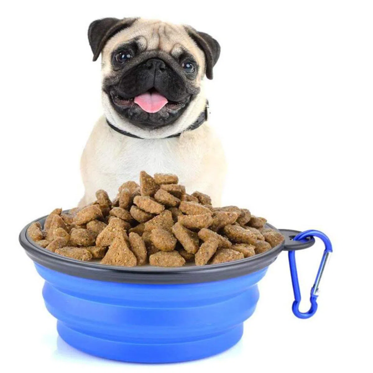 2 Pcs Pieghevole Viaggio Ciotole per Cani Gatti Animali Domestici, Mangiatoia Abbeveratoio Portatile in Silicone Alimentare con Gancio Porta Acqua, Portatile Verde e Blu Pieghevole in Silicone