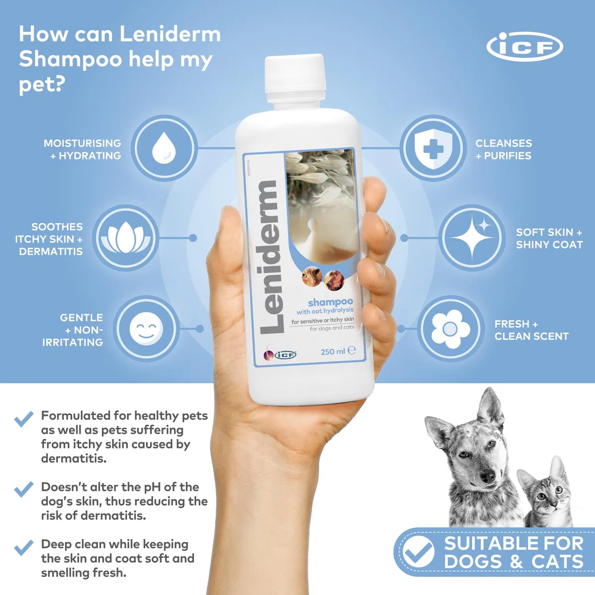 ICF | Leniderm | Shampoo per cani e gatti con infuso di avena | Cura lenitiva per la pelle pruriginosa o sensibile | Arricchito con avena idrolizzata, olio di cartamo, betaina, lanolina | 250 ml