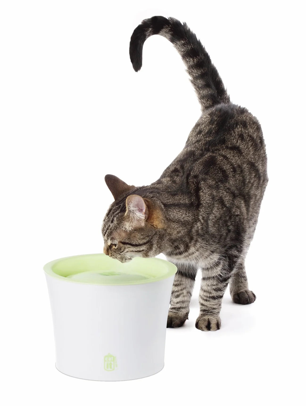 55600 CATIT ABBEVERATOIO 3L