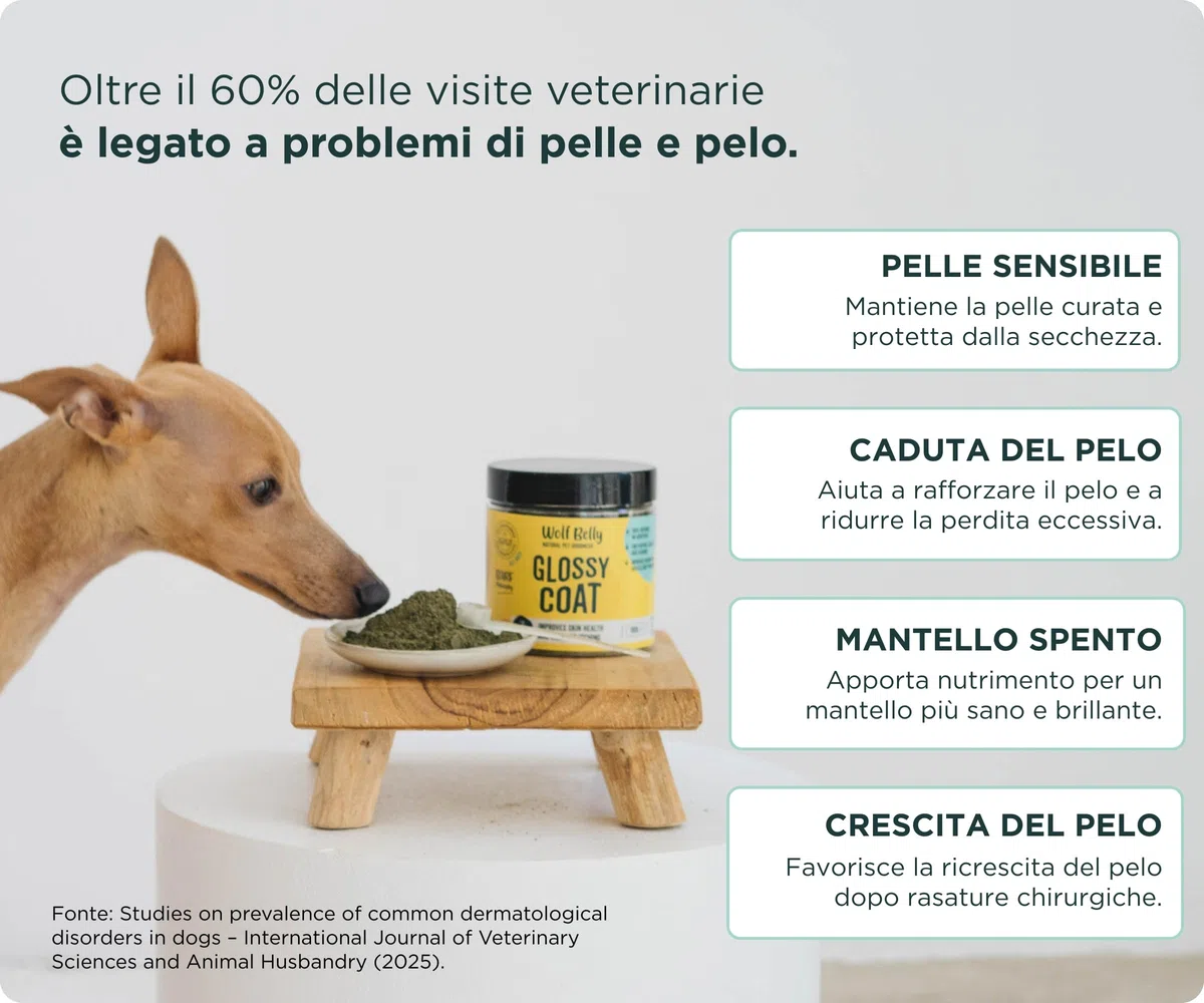 Wolf Belly - Probiotici Dermatite Cane 100% Naturale (180 g) con Lievito di Birra, Spirulina e Alga Ascophyllum | Meno Prurito e Caduta | Pelo Forte e Brillante | Polvere - Prodotto in Europa