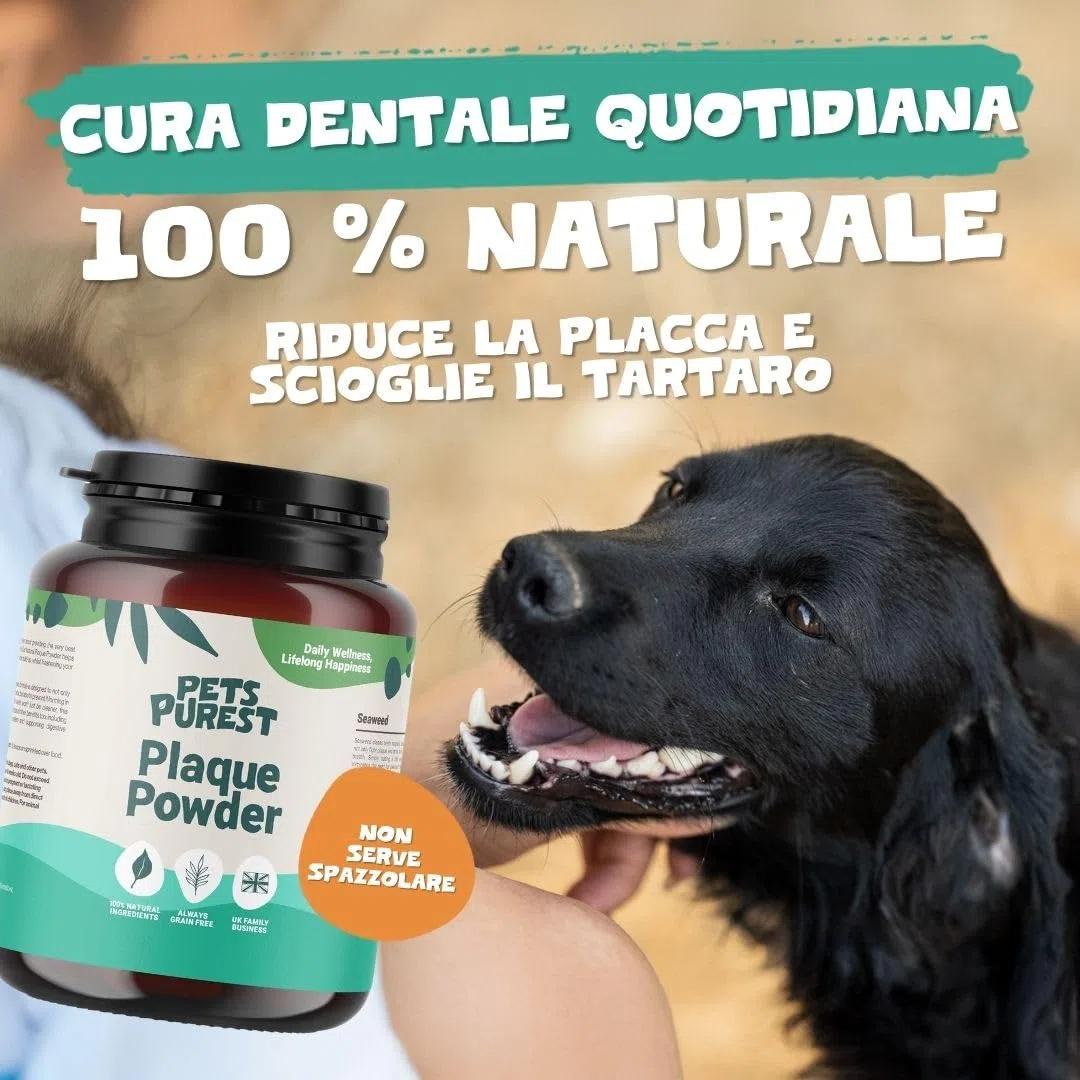Pets Purest 100% Naturale Rimozione della Placca e del Tartaro (185g) per Cani, Gatti e Animali Domestici. Impedisce l'accumulo di placca e Il tartaro rinfresca l'alito previene Problemi alle Gengive
