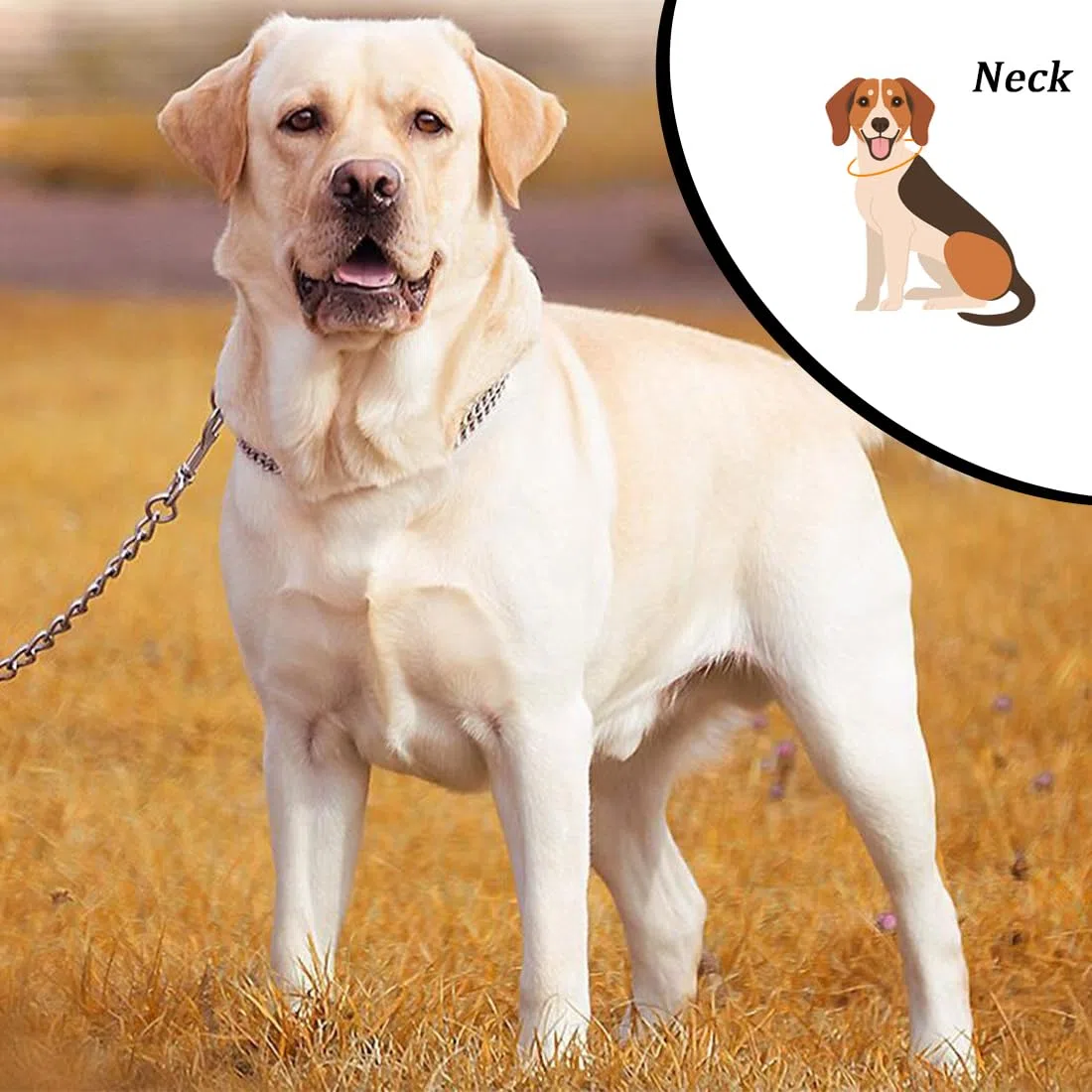 1 Pezzi Collare Cani Catena Cane Regolabile In Metallo Ferro Collare Per Addestramento Animali Collare Strozzo Acciaio Per Allenamento A Piedi (Argento)