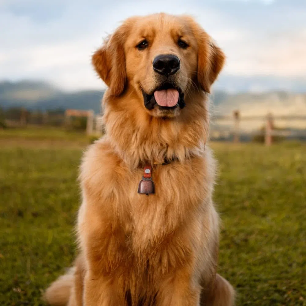 DONGKER Campane per Cani, Campana per Collare di Cane in Bronzo Vintage, Campanelle Anti Orsi per Animali con Cinturino in Pelle per Rumore di Tracciamento