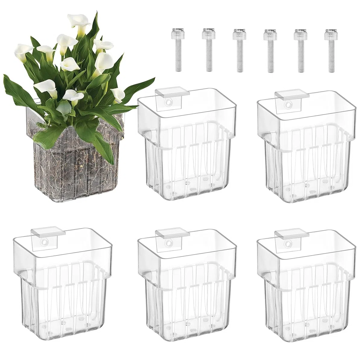 6 supporti per piante per acquario in acrilico: vasi da appendere decorativi con ventose, sistema di coltivazione per decorazione acquatica mini bacino | design moderno e pratico