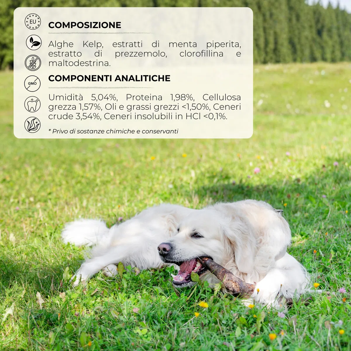 Integratore Naturale per Pulizia Denti Cane e Gatti con Alghe Kelp per Migliorare Alito Cane Cattivo, Polvere Sciogli Tartaro Cane di Sapore Gradevole, Alternativa a Spazzolino Per Cani