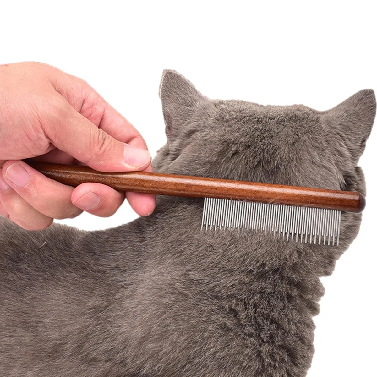 Pettine Antipulci Per Gatti - Pettine Antipulci Per Gatti | Pettine Antipulci Con Aghi In Acciaio Inossidabile Con Manico In Legno | Spazzola Per Toelettatura Di Animali Domestici Con Denti Densi