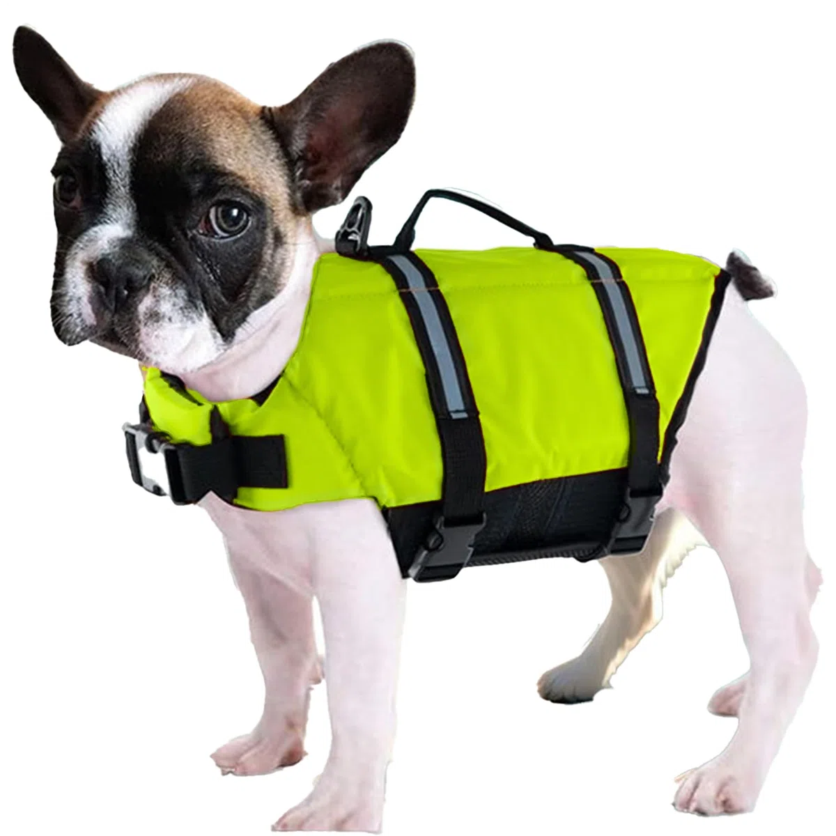 Giubbotto Salvagente per Cani | Giubbotto Salvagente Ad Alta Visibilità per Barche,Vestito da Bagno Regolabile per Cani Taglie Piccola Media Grande Sport Acquatici Lago Spiaggia Kayak