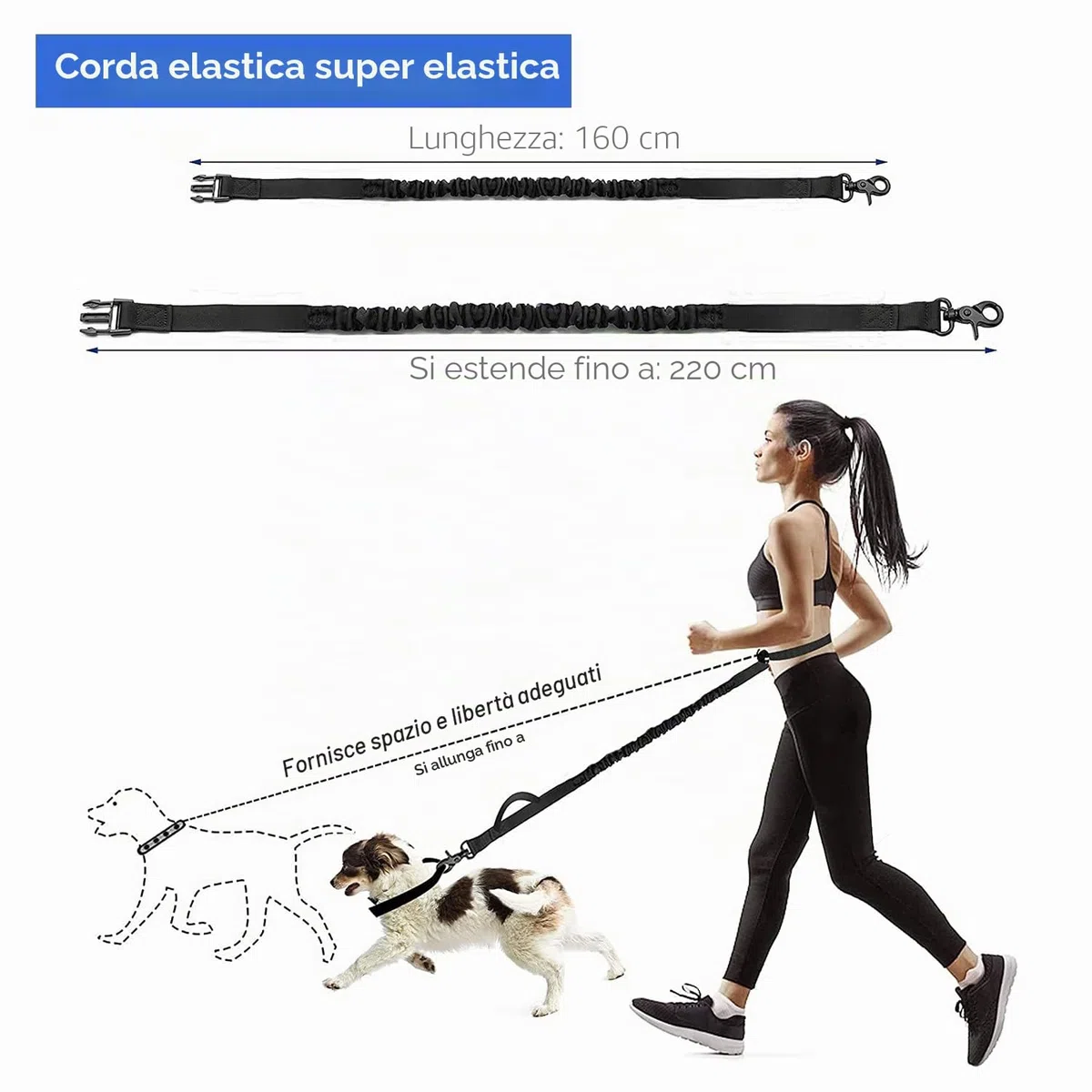 Edipets, Guinzaglio Mani Libere per Cani, per Corsa, Jogging, Running, Anti-tiro, Riflettente, 160-220 cm (Blu)
