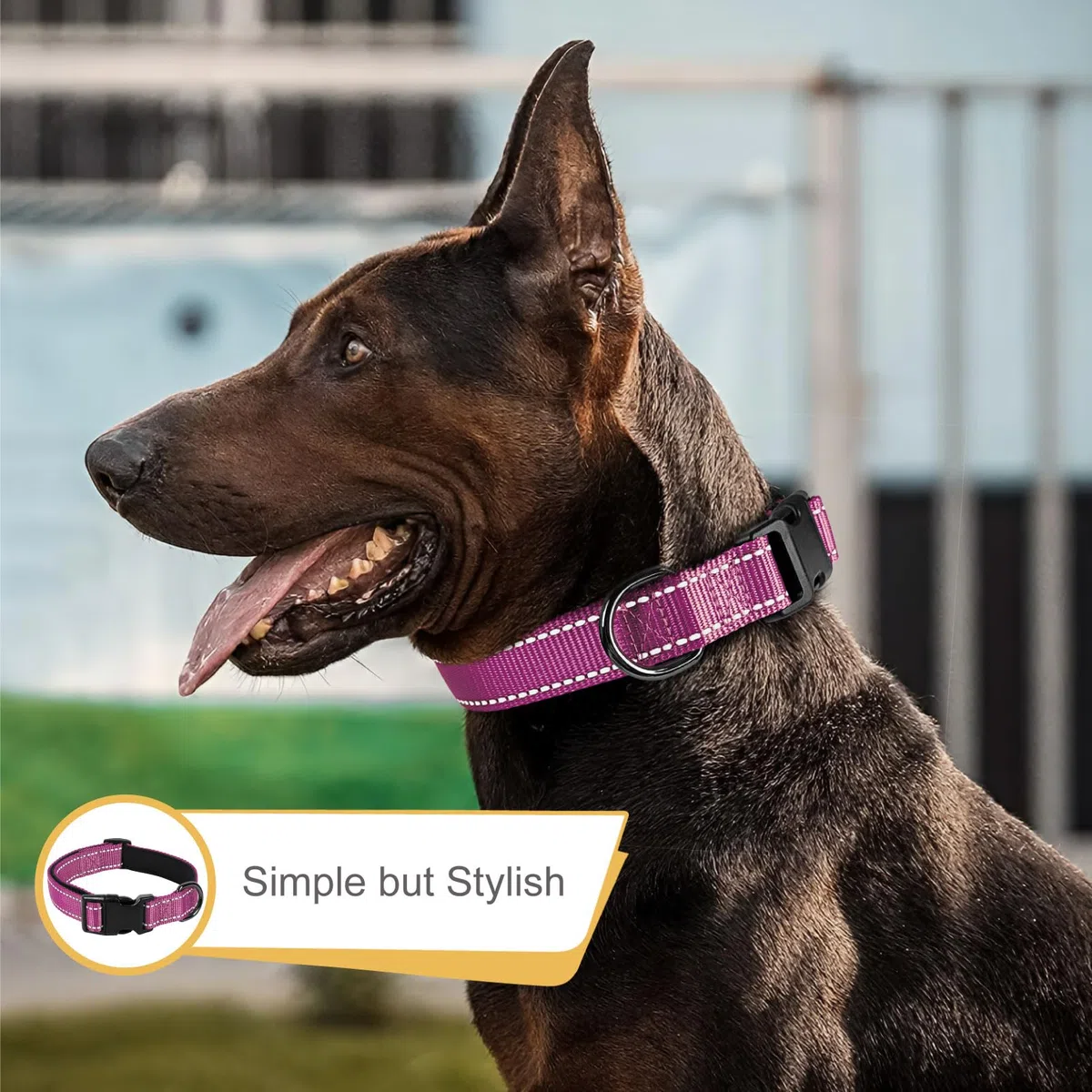 HEELE Collare per Cani, Collare Cane Riflettente Imbottito Nylon Regolabile Traspirante Collari per Cani di Taglia Media, Magenta, M(34-52cm)
