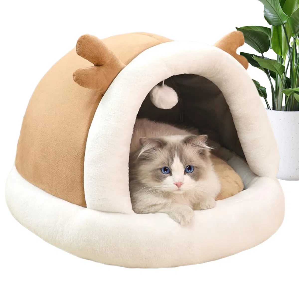 Cuccia per Gatti Coperta | Cuccia Calda e Morbida con Tettoia - Cuccetta Morbida Antiscivolo per Sonno Gattini Cuccioli - Utilizzo Interno Esterno Balcone Camera da Letto