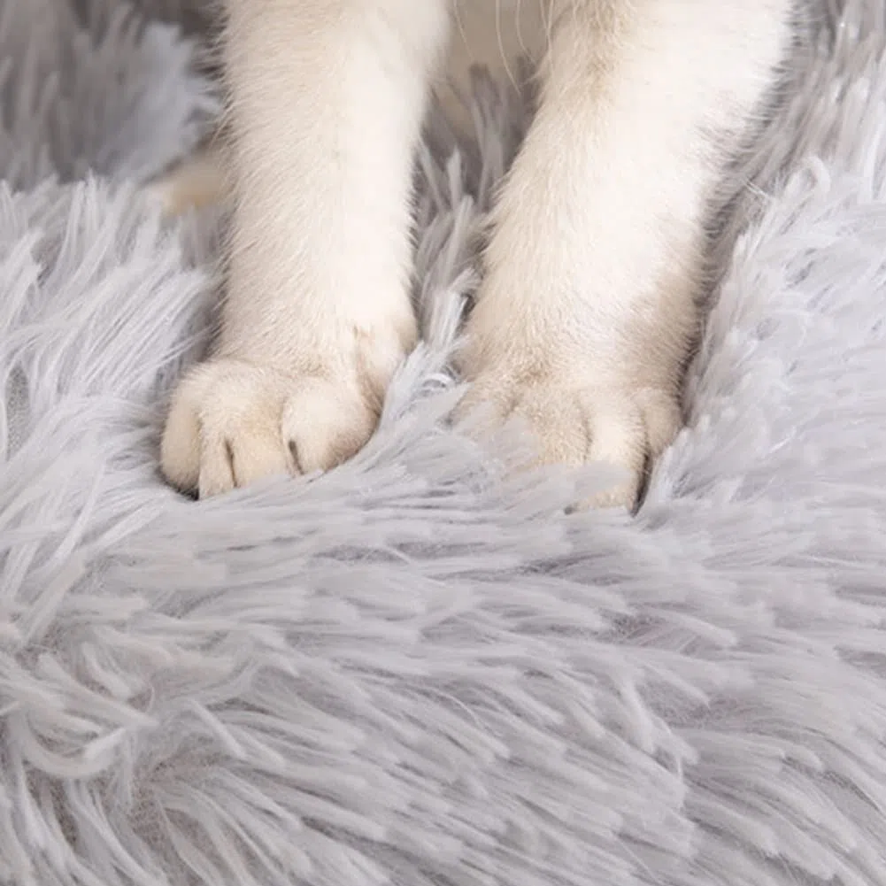 Letto per gatti Letto per cani Letto per animali domestici Letto per gatti Letto per cani Divano per gatti Divano per cani Divano per animali domestici Divano per gattini Cuscino Morbido