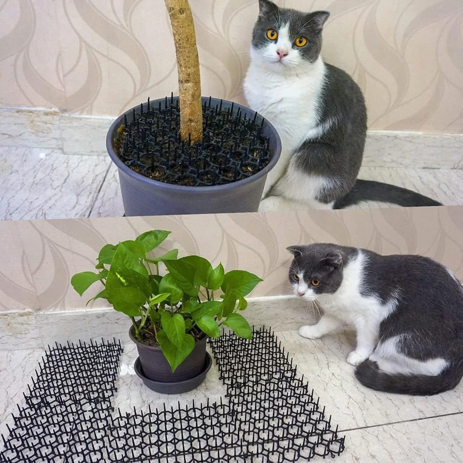 Tonysa Tappetino Deterrente per Gatti, Tappetino con Punte per Tenere Lontani Cani e Gatti, per Interni Ed Esterni, Protegge Le Piante, Respinge Gli Animali Domestici