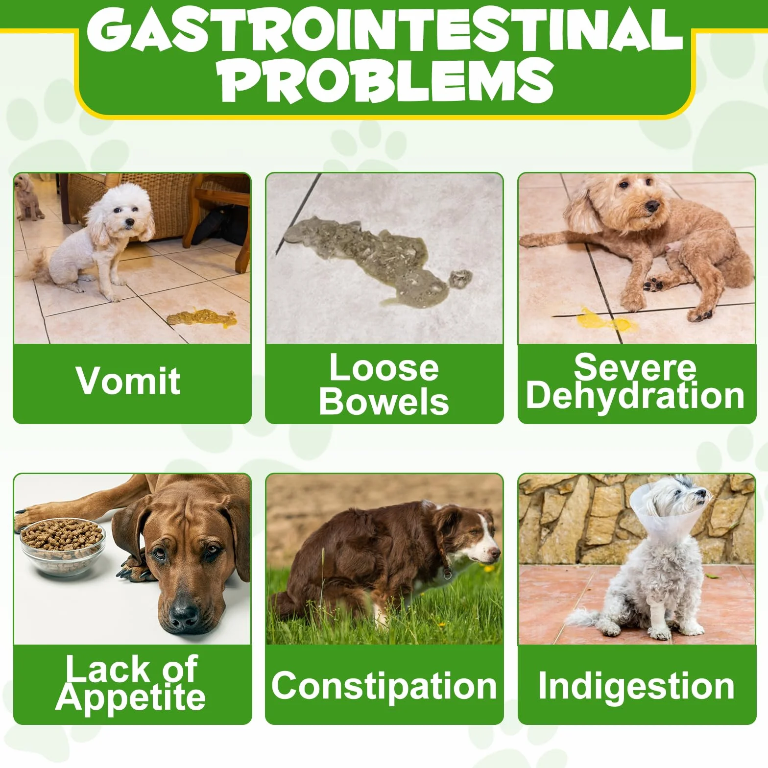 Probiotico In Polvere Per Cani - Ricco Di Prebiotici - 12 Ceppi Di Batteri Benefici, Favorisce Una Digestione Sana, Equilibra La Flora Intestinale, Rafforza Il Sistema Immunitario 120g