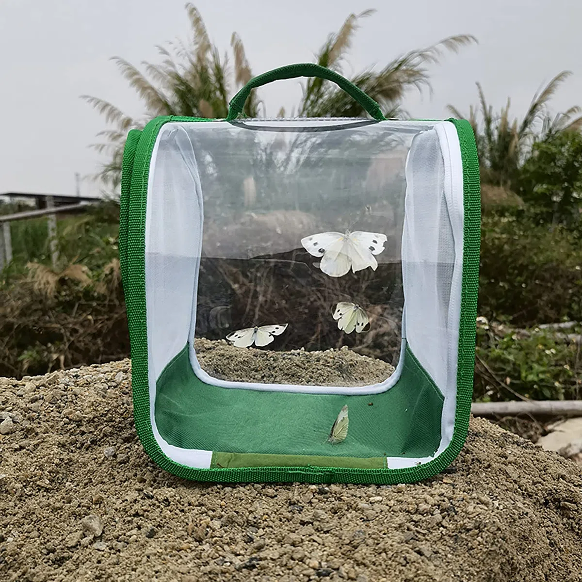 Gabbia di Osservazione Degli Insetti Trasparente a 360 Gradi - Pieghevole Portatile per Farfalle e Insetti - Con Manico e Cerniera per Osservazione Della Natura