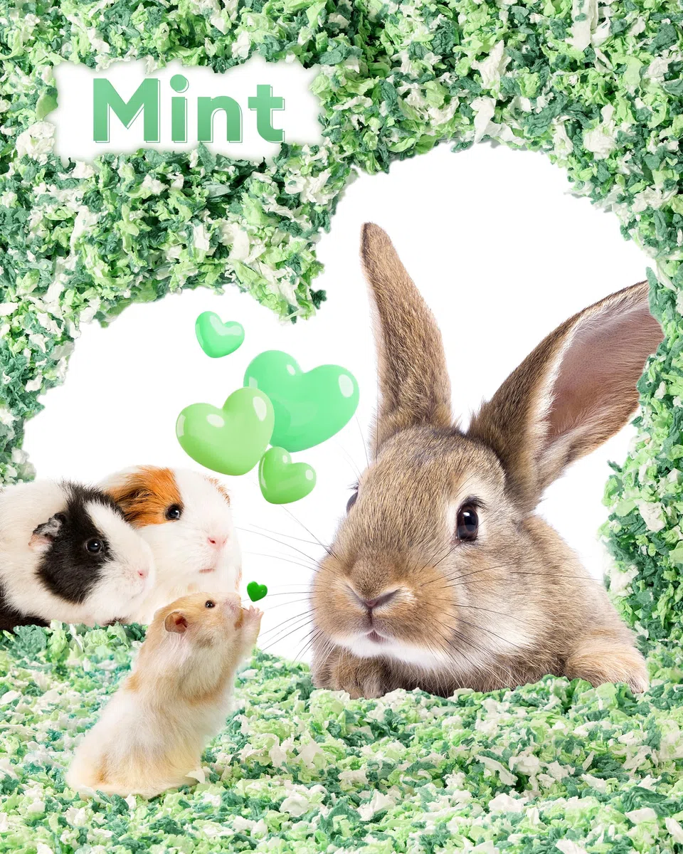 BUCATSTATE Hamster Bedding - Biancheria da letto da 15 l, 99% priva di polvere e antiodore, in carta naturale, per conigli, ratti, criceti siriani, ricci, verde menta
