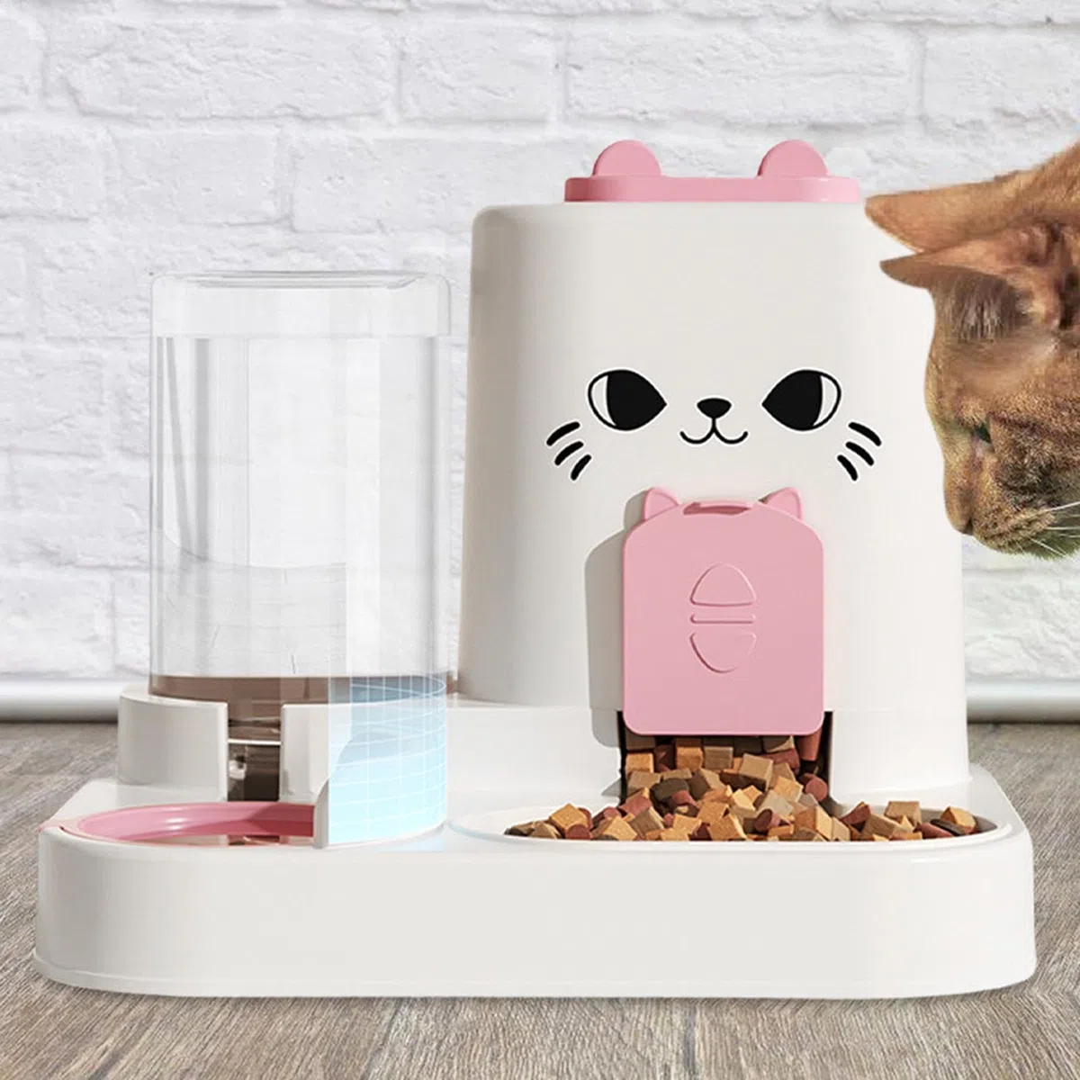 Alimentatore Automatico per Gatti - Dispenser Timer per Cibo con Distributore di Acqua | Ciotole di g