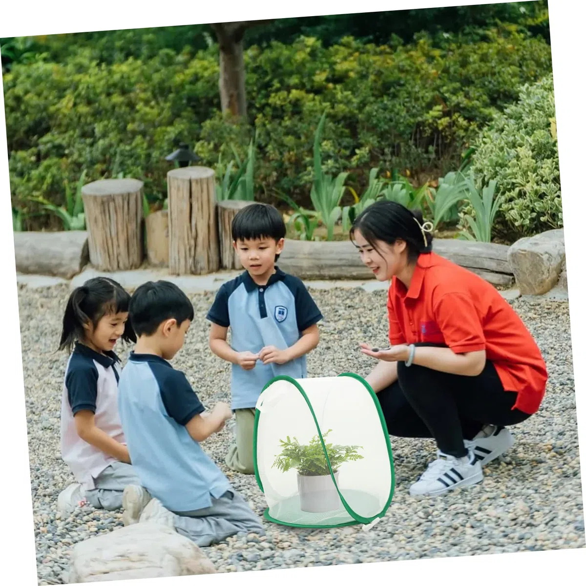Beaupretty Gabbia per Farfalle e Insetti Pieghevole Rete Traspirante, Habitat per Bruchi e Coccinelle, Gabbia da Giardino Leggera per Osservazione Educativa all’Aperto al Chiuso