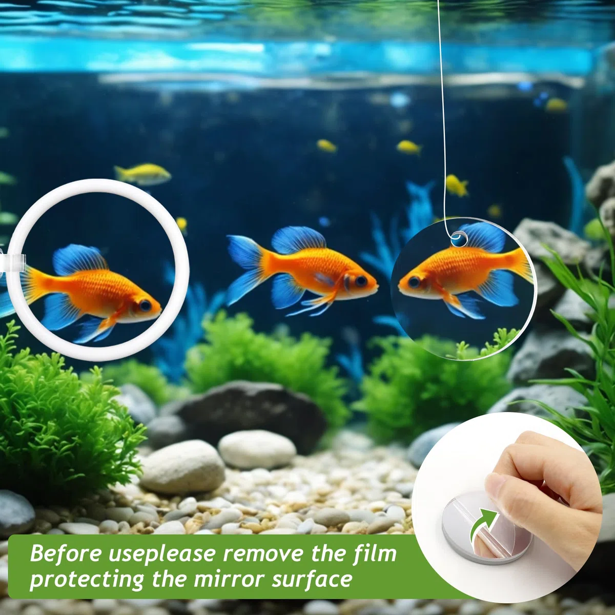 Betta Toys per acquario con specchio Betta, 4 anelli per l'alimentazione dei pesci per piccoli acquari, giocattoli per l'addestramento dei pesci, l'esercizio fisico, l'arricchimento delle tartarughe