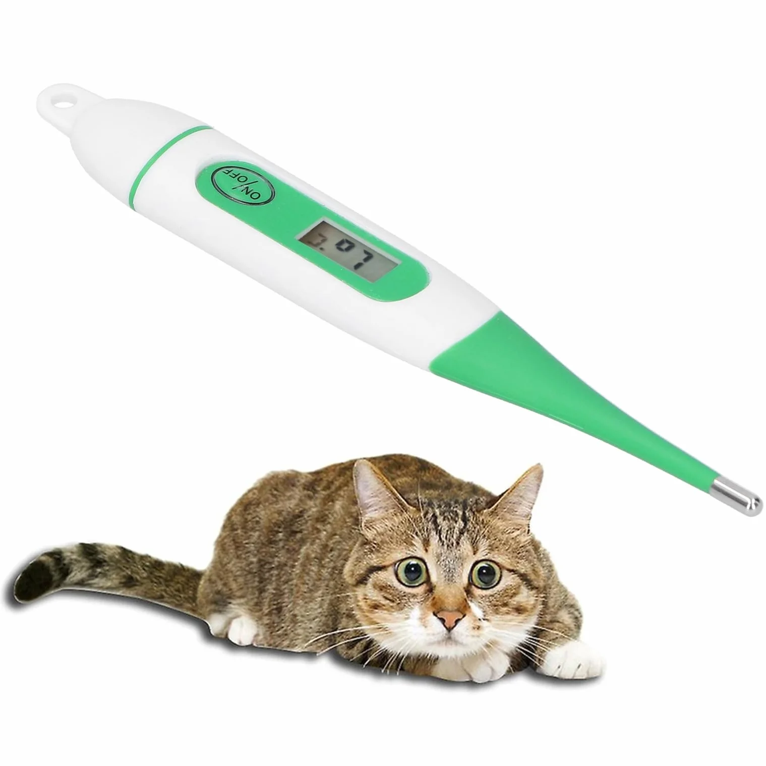 Termometro elettronico Veterinario Termometro Digitale Impermeabile per Animali per bovini Ovini con Schermo LCD