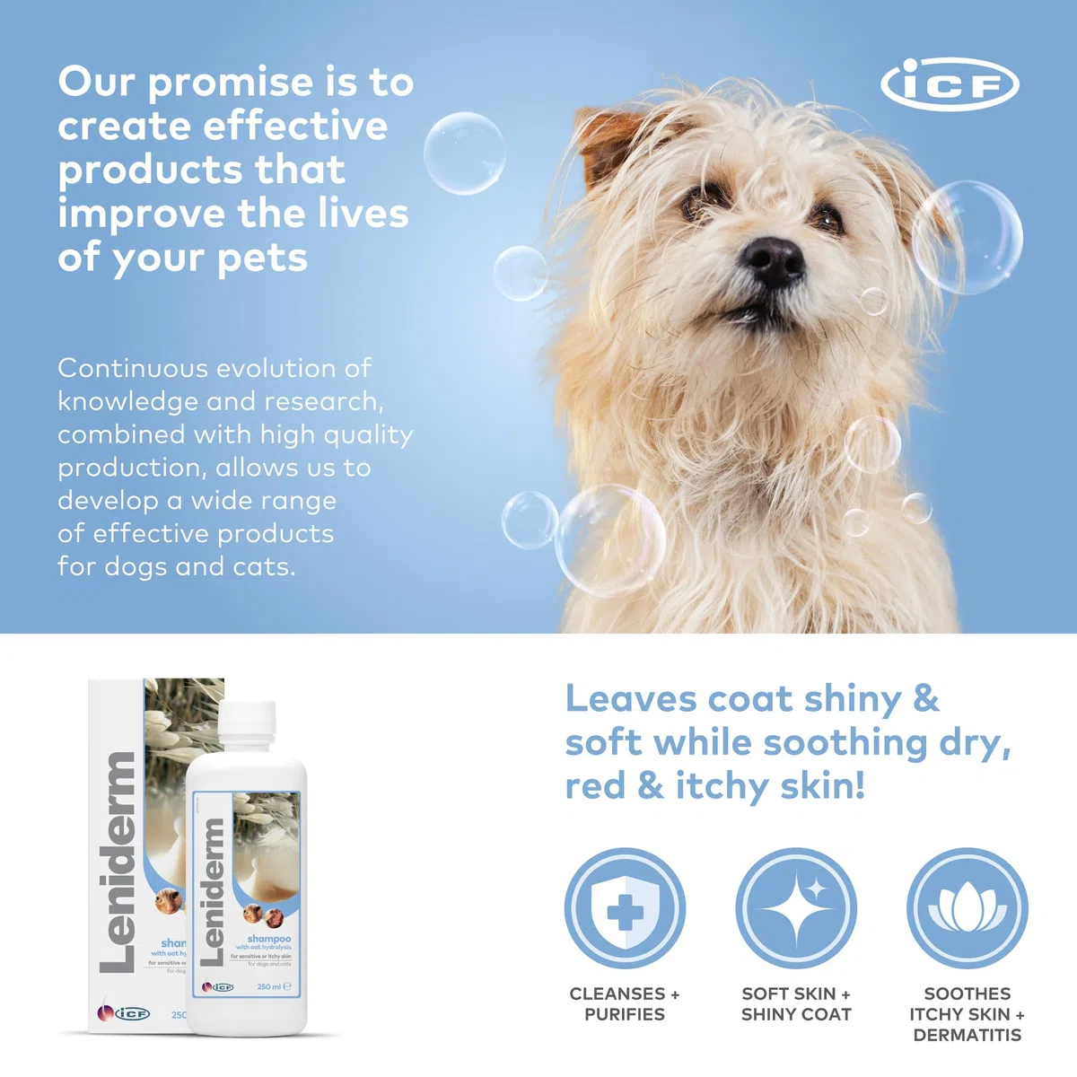 ICF | Leniderm | Shampoo per cani e gatti con infuso di avena | Cura lenitiva per la pelle pruriginosa o sensibile | Arricchito con avena idrolizzata, olio di cartamo, betaina, lanolina | 250 ml