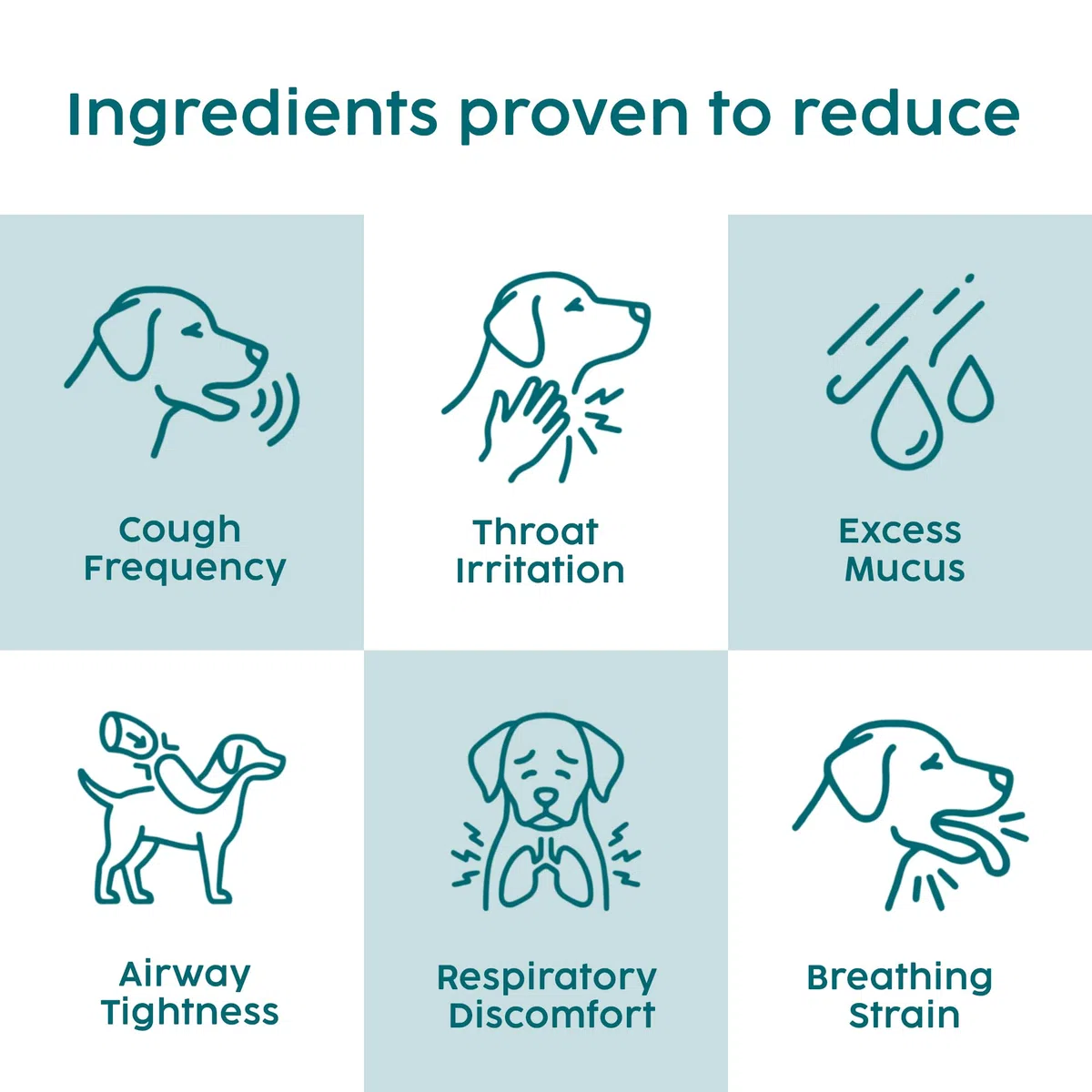 Medicinale per la Tosse dei Canili per Cani e Gatti, Trattamento per Infezioni Respiratorie e Raffreddore, Sollievo da Starnuti, Raffreddore, Tintura di Verbasco 100% Naturale – 50 ml