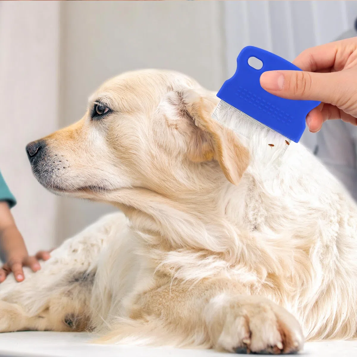 Pettine a Denti Fini per Gatti e Cani - Strumento per la Pulizia di Pidocchi, Pulci, Grovigli, Nodi, Crosta e Sporcizia