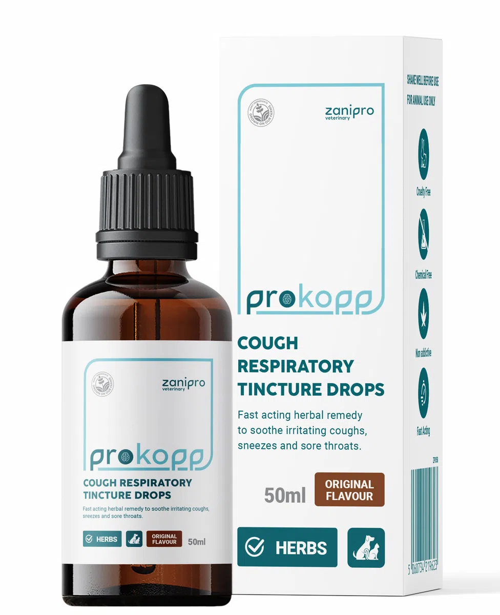 Medicinale per la Tosse dei Canili per Cani e Gatti, Trattamento per Infezioni Respiratorie e Raffreddore, Sollievo da Starnuti, Raffreddore, Tintura di Verbasco 100% Naturale – 50 ml