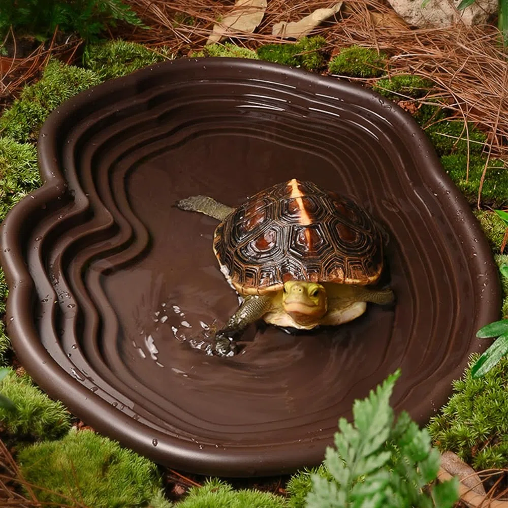 Vasca per rettili extra large, ciotola per acqua con rampa, decorazione per acquario per gechi, serpenti, tartarughe, draghi barbuti, lucertole (nero)