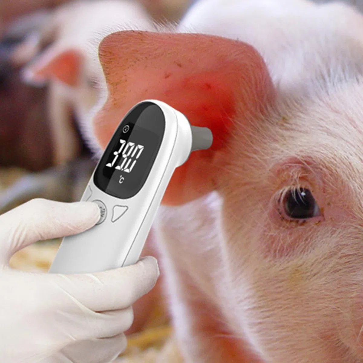Monitor della temperatura 'orecchio del cane, termometro senza contatto, termometro auricolare per cani o altri animali, comodo e veloce per misurare la temperatura del vostro animale domestico