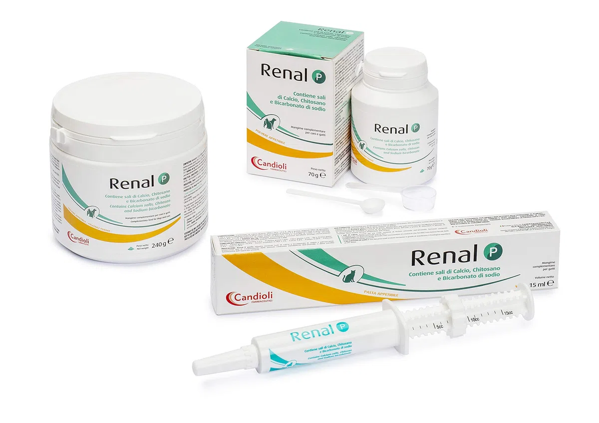 Renal P Pasta 15 ml