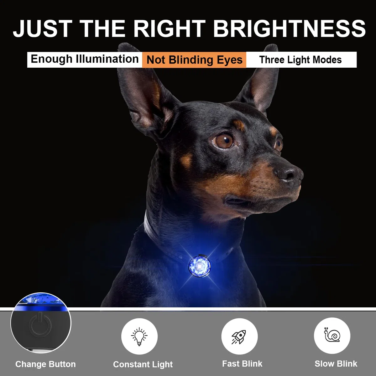 Tubasion Ciondolo luminoso per cani, USB-C ricaricabile, 100% impermeabile, LED lampeggiante, per la scuola, luci per cani per passeggiate notturne (blu).